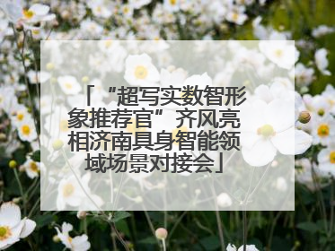 “超写实数智形象推荐官”齐风亮相济南具身智能领域场景对接会