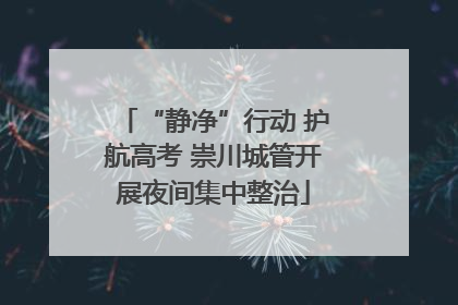“静净”行动 护航高考 崇川城管开展夜间集中整治