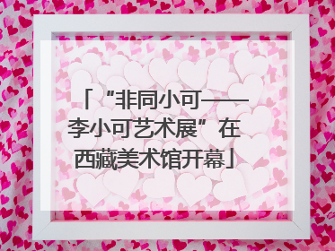 “非同小可——李小可艺术展”在西藏美术馆开幕