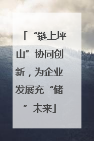 “链上坪山”协同创新，为企业发展充“储”未来