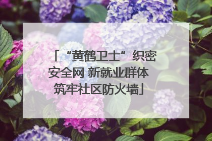 “黄鹤卫士”织密安全网 新就业群体筑牢社区防火墙