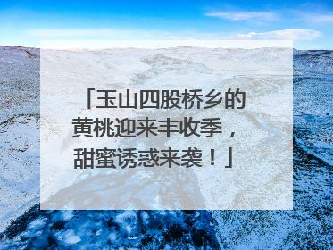 玉山四股桥乡的黄桃迎来丰收季，甜蜜诱惑来袭！