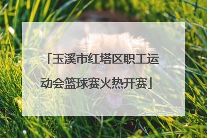 玉溪市红塔区职工运动会篮球赛火热开赛