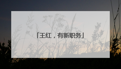 王红，有新职务