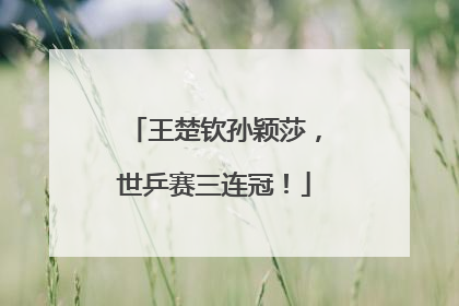 王楚钦孙颖莎，世乒赛三连冠！