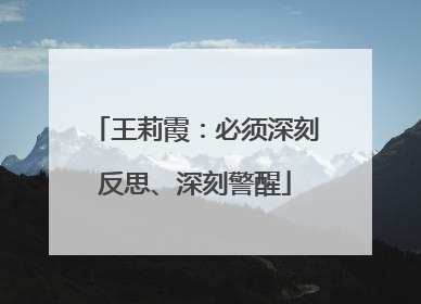 王莉霞：必须深刻反思、深刻警醒