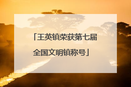 王英镇荣获第七届全国文明镇称号