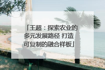 王超：探索农业的多元发展路径 打造可复制的融合样板