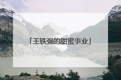 王铁强的甜蜜事业