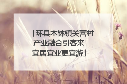 环县木钵镇关营村 产业融合引客来 宜居宜业更宜游