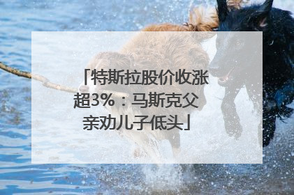特斯拉股价收涨超3%：马斯克父亲劝儿子低头