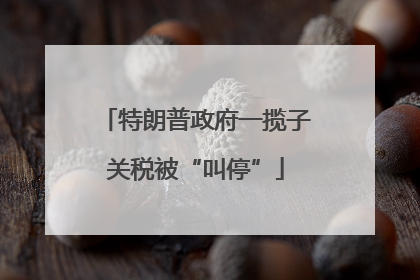 特朗普政府一揽子关税被“叫停”