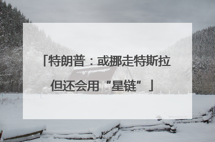 特朗普：或挪走特斯拉 但还会用“星链”