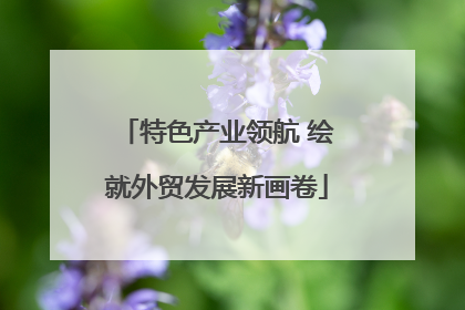特色产业领航 绘就外贸发展新画卷