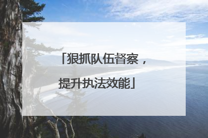狠抓队伍督察，提升执法效能