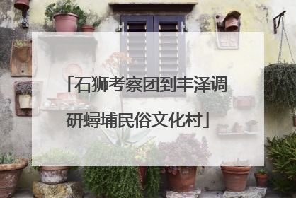石狮考察团到丰泽调研蟳埔民俗文化村