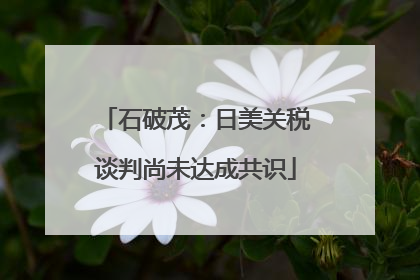 石破茂：日美关税谈判尚未达成共识