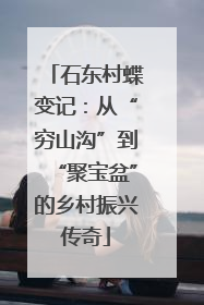 石东村蝶变记：从“穷山沟”到“聚宝盆”的乡村振兴传奇