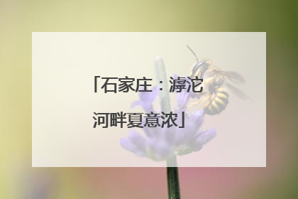 石家庄：滹沱河畔夏意浓