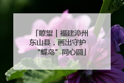 瞭望｜福建漳州东山县，画出守护“蝶岛”同心圆