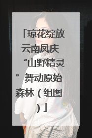 琼花绽放 云南凤庆“山野精灵”舞动原始森林（组图）