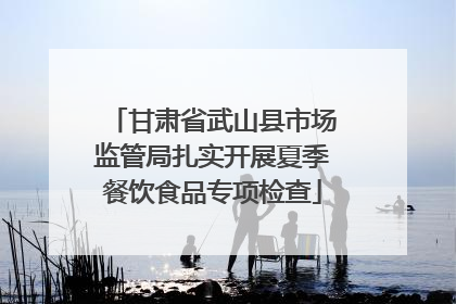 甘肃省武山县市场监管局扎实开展夏季餐饮食品专项检查