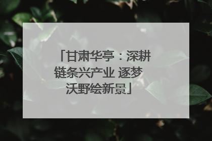 甘肃华亭：深耕链条兴产业 逐梦沃野绘新景