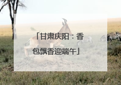 甘肃庆阳：香包飘香迎端午