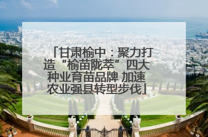 甘肃榆中：聚力打造“榆苗陇萃”四大种业育苗品牌 加速农业强县转型步伐