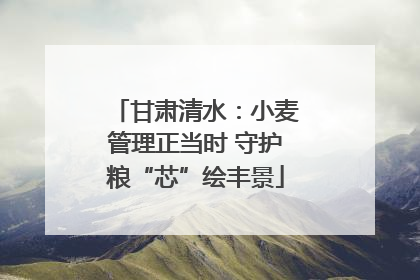 甘肃清水：小麦管理正当时 守护粮“芯”绘丰景