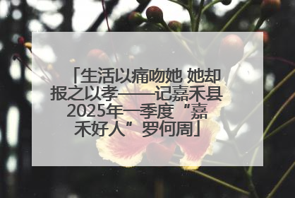 生活以痛吻她 她却报之以孝——记嘉禾县2025年一季度“嘉禾好人”罗何周