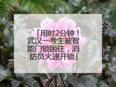 用时2分钟！武汉一考生被智能门锁困住，消防员火速开锁