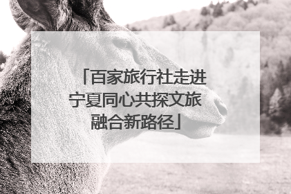 百家旅行社走进宁夏同心共探文旅融合新路径
