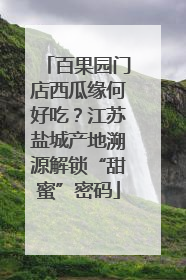 百果园门店西瓜缘何好吃？江苏盐城产地溯源解锁“甜蜜”密码