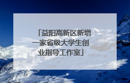 益阳高新区新增一家省级大学生创业指导工作室
