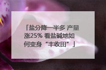 盐分降一半多 产量涨25% 看盐碱地如何变身“丰收田”