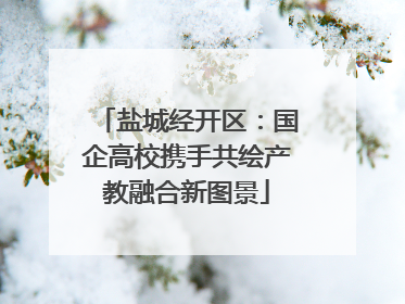 盐城经开区：国企高校携手共绘产教融合新图景