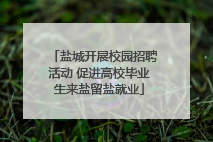 盐城开展校园招聘活动 促进高校毕业生来盐留盐就业
