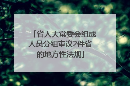 省人大常委会组成人员分组审议2件省的地方性法规