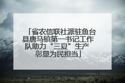 省农信联社派驻鱼台县唐马镇第一书记工作队助力“三夏”生产 彰显为民担当