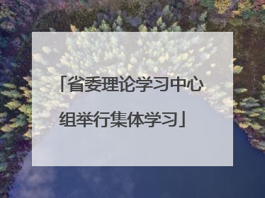 省委理论学习中心组举行集体学习
