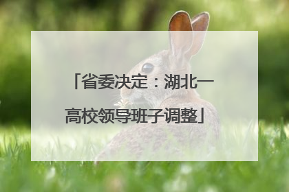 省委决定：湖北一高校领导班子调整