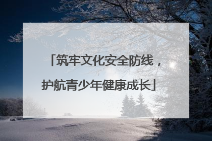 筑牢文化安全防线，护航青少年健康成长