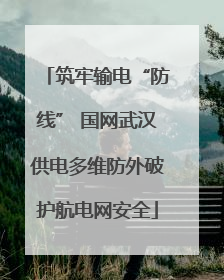 筑牢输电“防线” 国网武汉供电多维防外破护航电网安全
