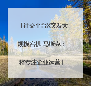 社交平台X突发大规模宕机 马斯克：将专注企业运营