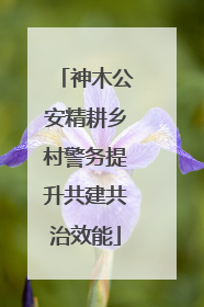神木公安精耕乡村警务提升共建共治效能