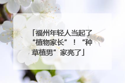 福州年轻人当起了“植物家长”！“种草植男”家亮了