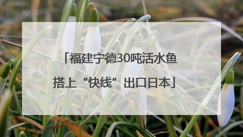 福建宁德30吨活水鱼搭上“快线”出口日本