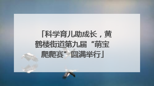 科学育儿助成长，黄鹤楼街道第九届“萌宝爬爬赛”圆满举行
