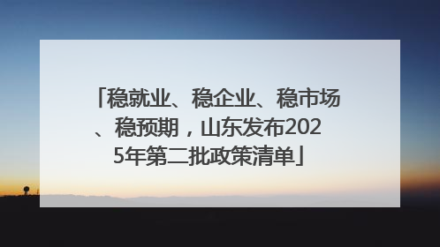 稳就业、稳企业、稳市场、稳预期，山东发布2025年第二批政策清单